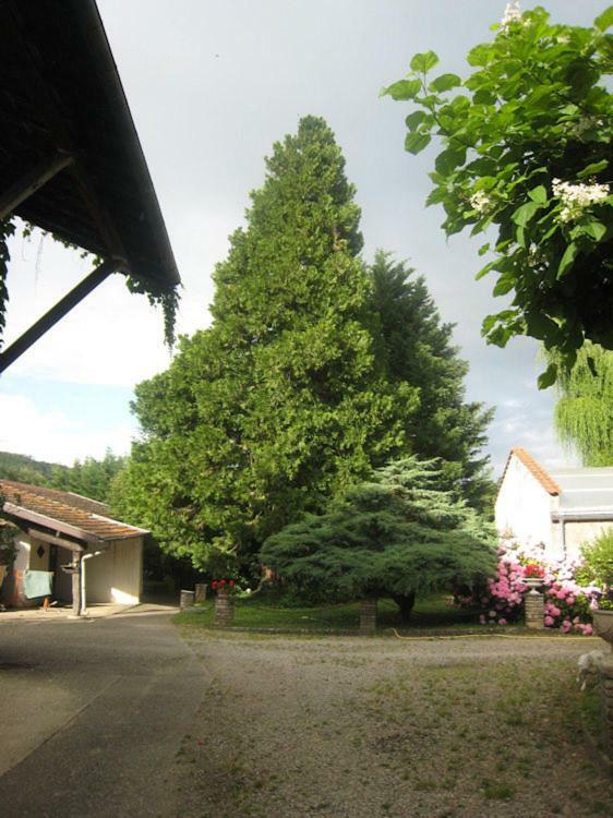 Villa Dufresne Beynost Zewnętrze zdjęcie